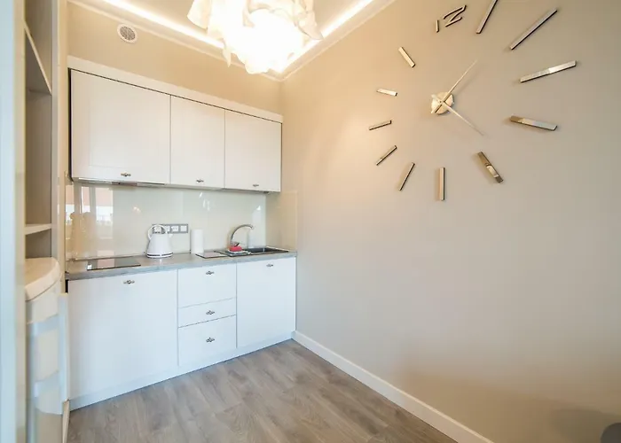 דירה 617 W Polonia קולובז'ג