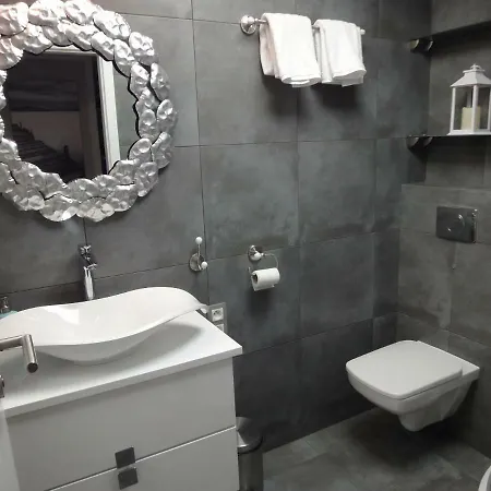 617 W Polonia Apartament *